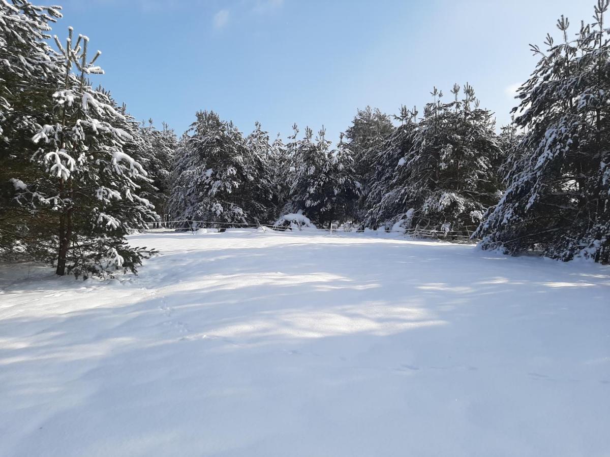 Agroturystyka Zubr Villa Siemianowka Exteriör bild