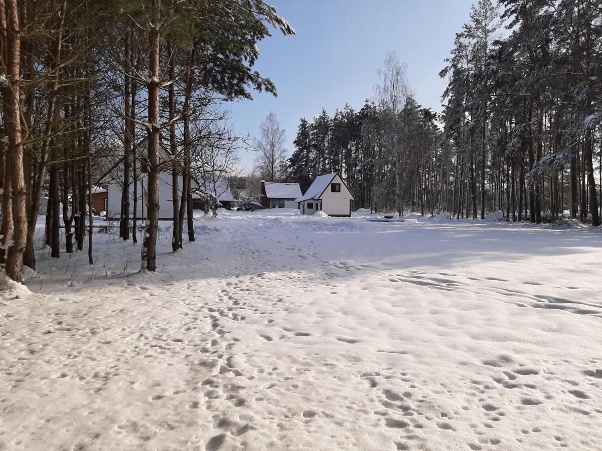 Agroturystyka Zubr Villa Siemianowka Exteriör bild