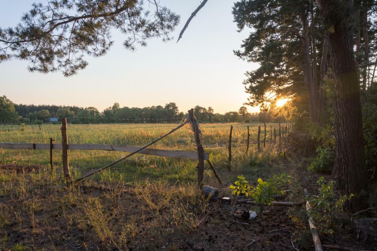 Agroturystyka Zubr Villa Siemianowka Exteriör bild