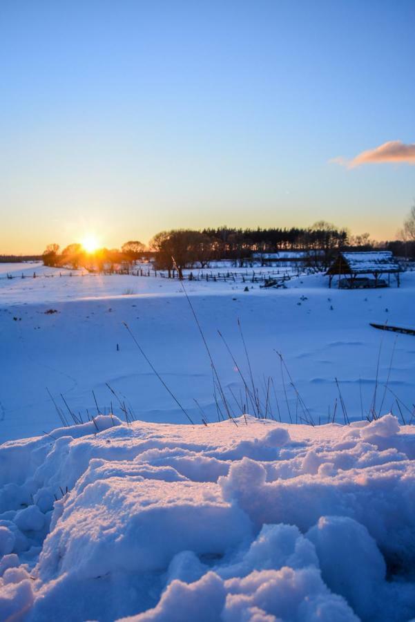 Agroturystyka Zubr Villa Siemianowka Exteriör bild