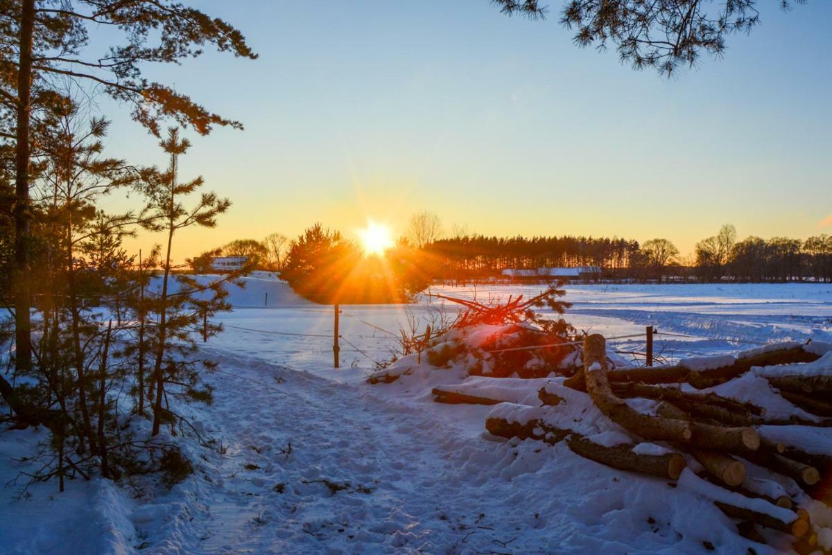 Agroturystyka Zubr Villa Siemianowka Exteriör bild