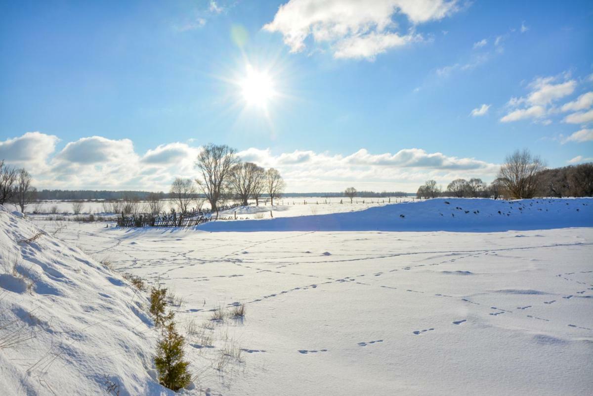 Agroturystyka Zubr Villa Siemianowka Exteriör bild